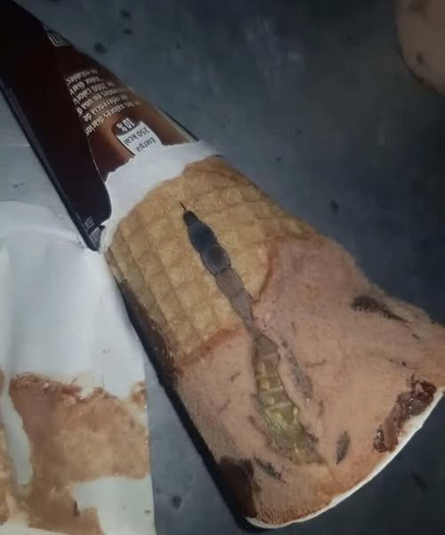 Today, my daughter opened her favorite chocolate ice cream, the same one she eats almost every day after school. Everything was as usual: a crunchy cone, a sweet smell, a soft layer of chocolate on top. But a few seconds later, I heard her say, surprised, “Mom, look at this!” I walked over and saw something strange and dark inside, like a piece of wrapper or candy. At first, we thought it was just a defect, then we thought maybe a piece of chocolate had slipped in…