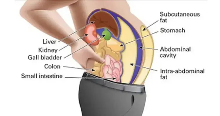 Toxins Stored In Your Fat Cells Make You Fatigued And Swollen. Here’s How To Cleanse Them.