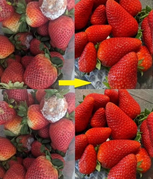How to Keep Strawberries Fresh for Longer – No More Mushiness!