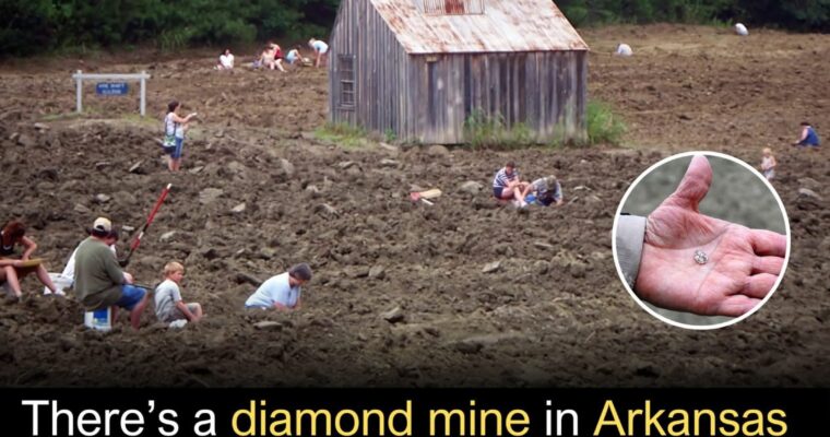 The Crater of Diamonds State Park in Murfreesboro, Arkansas is the only diamond