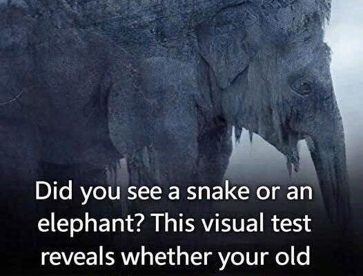 What did you see at first sight? 97% of people saw a snake! Find out if your old age will be bitter or sweet!