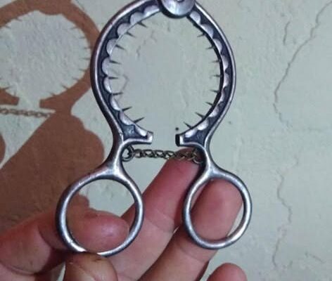 How to Use This Strange Tool in Your Kitchen