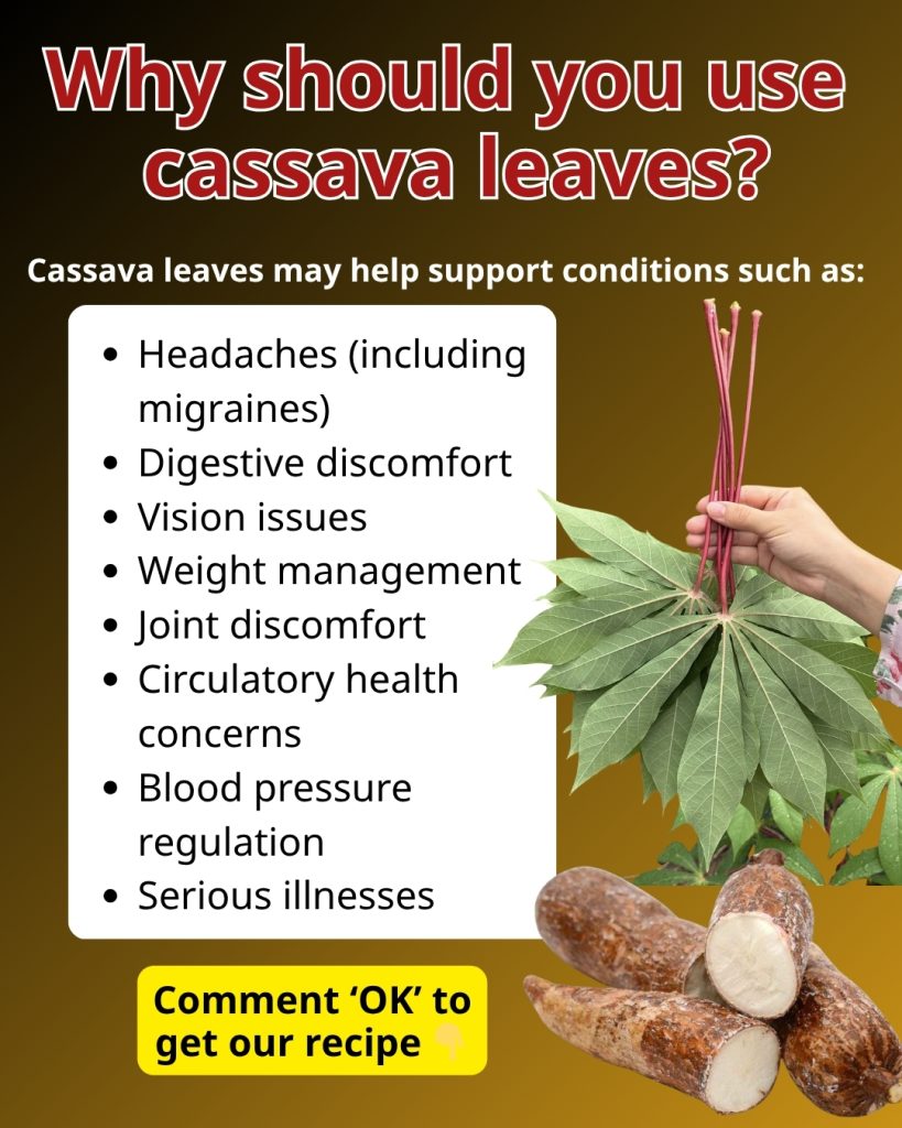Cassava leaves, you should use them in this way…v