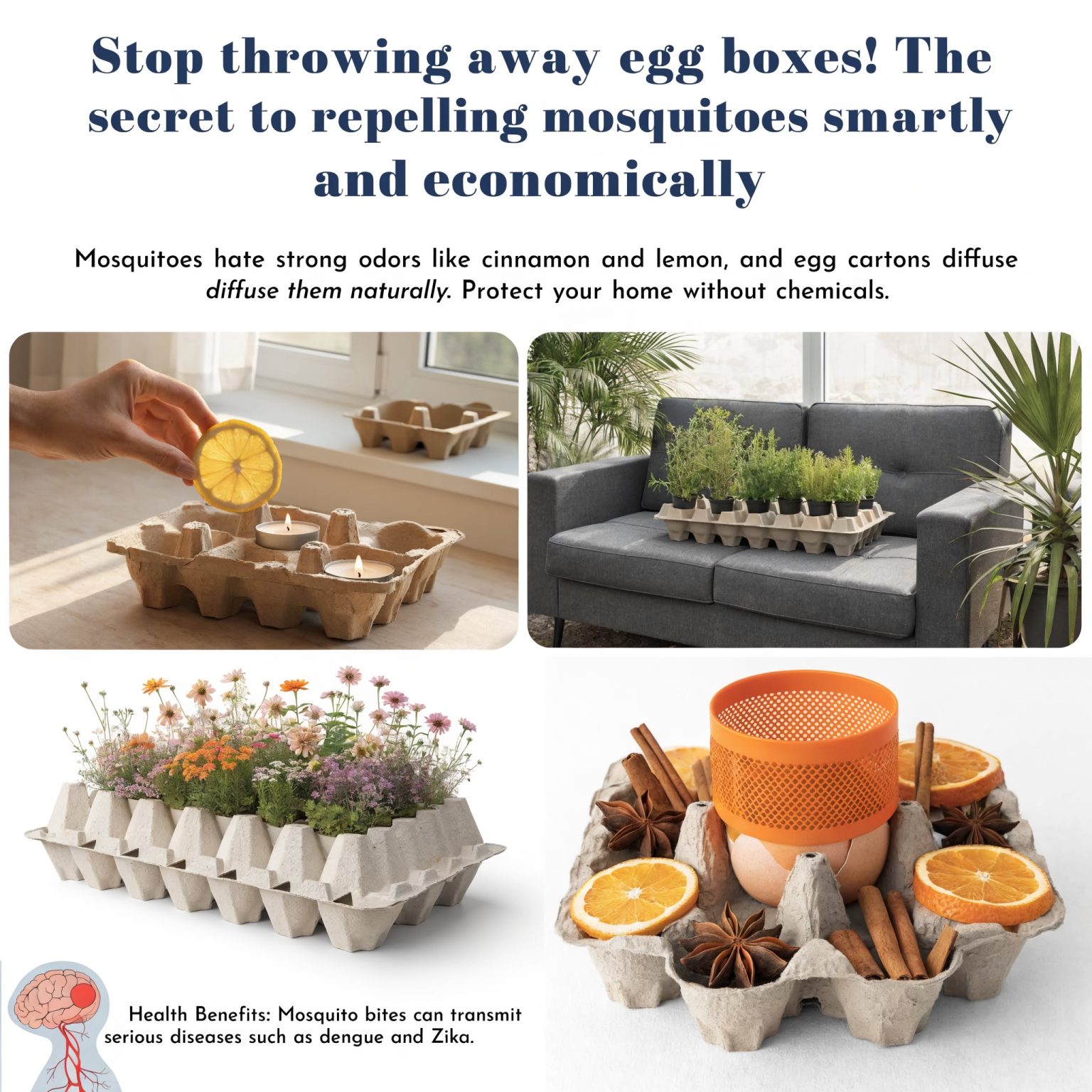The Ultimate Guide to Natural Pest Control, Household Upcycling, and Healthy Living