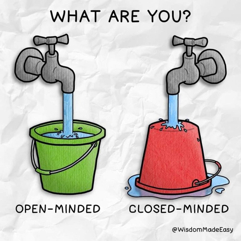 Open-Minded vs. Closed-Minded: What the Bucket Metaphor Teaches Us About Growth
