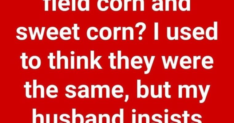 Comparing Field Corn and Sweet Corn