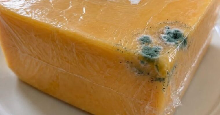 hat Green Spot on Your Cheddar… Cut It Off or Toss the Whole Thing?
