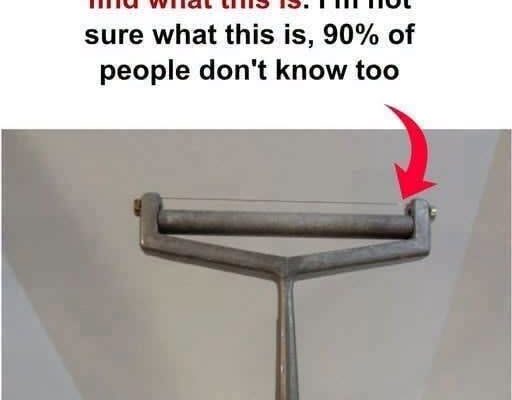 I don’t know what this is!