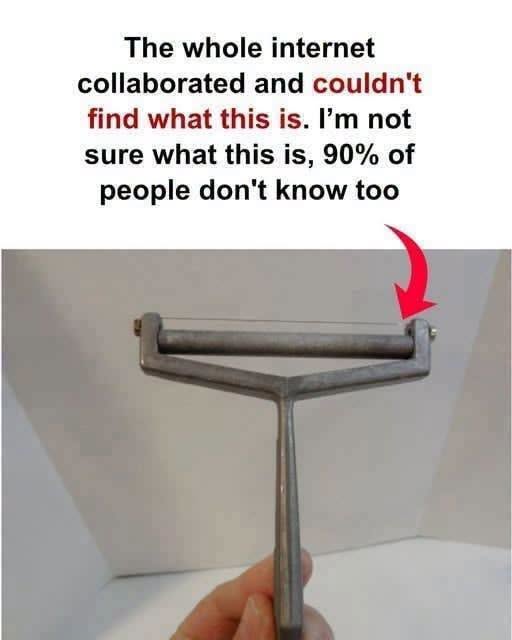 I don’t know what this is!