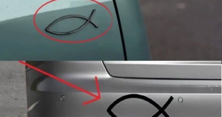 What does the small fish-shaped symbol seen on the back of some cars mean, and why is it used?