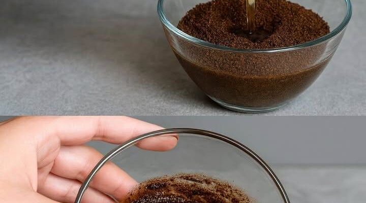 How to Keep Ants Away from Your Pantry with a Plastic Lid