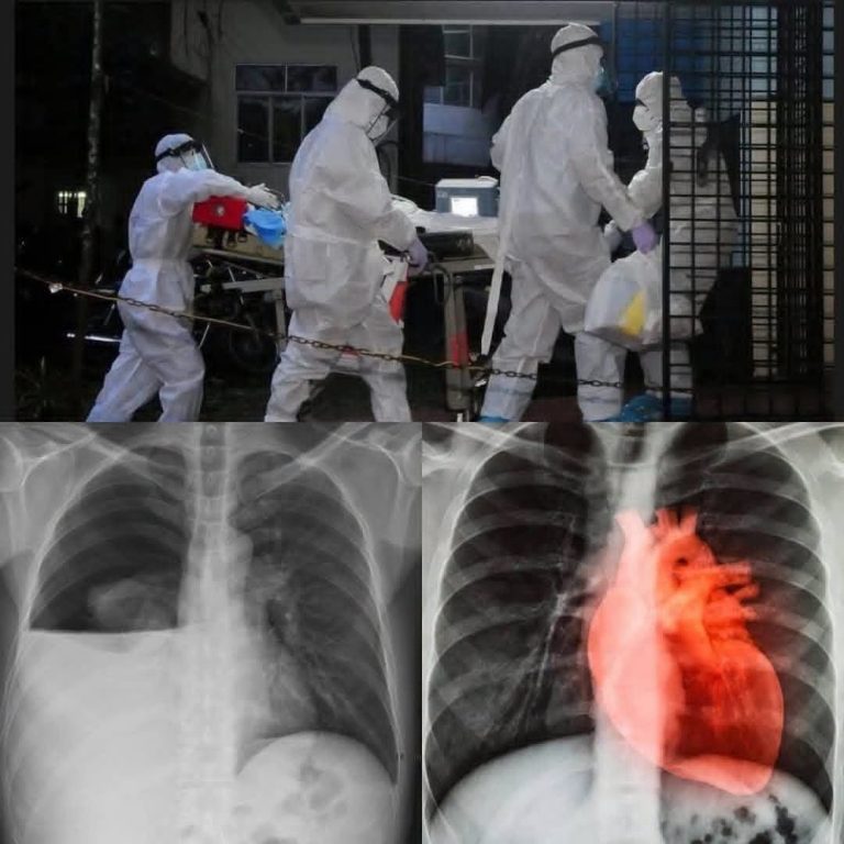 COVID-19 vaccinated individuals may be ill…See more