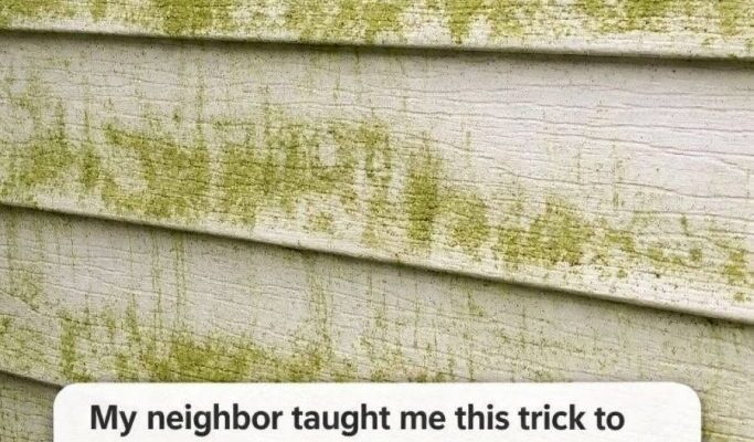 My neighbor taught me this trick to clean green algae off siding with 0 effort. Here’s how it worksMy neighbor taught me this trick to clean green algae off siding with 0 effort. Here’s how it works