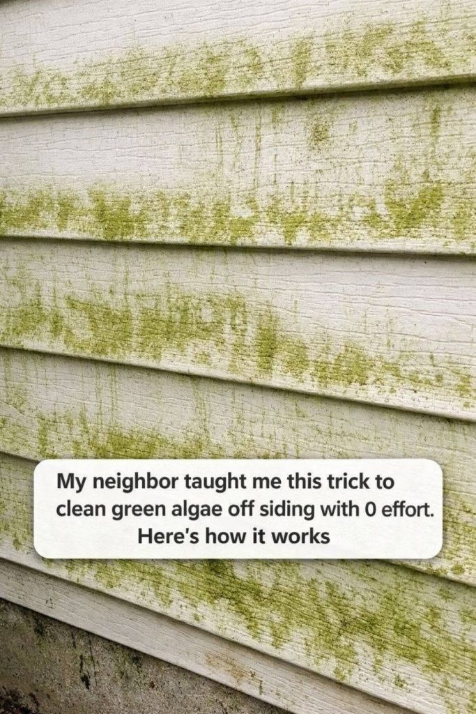 My neighbor taught me this trick to clean green algae off siding with 0 effort. Here’s how it worksMy neighbor taught me this trick to clean green algae off siding with 0 effort. Here’s how it works