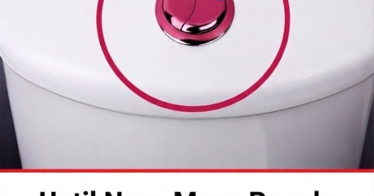 Many People Still Don’t Know What the Two Buttons on a Dual-Flush Toilet Actually Do…🚽 Find out what each button does in the first c0mment 👇