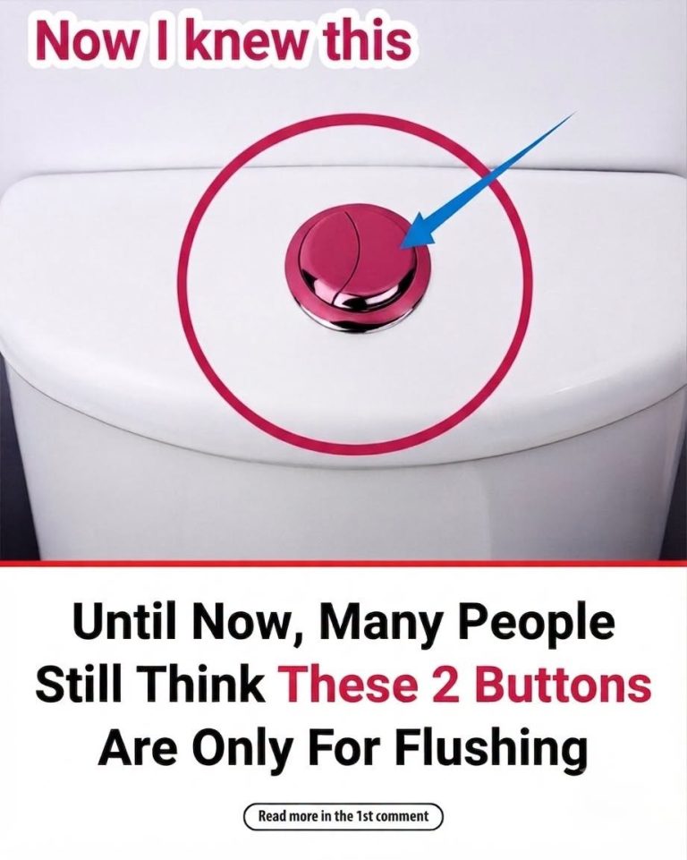 Many People Still Don’t Know What the Two Buttons on a Dual-Flush Toilet Actually Do…🚽 Find out what each button does in the first c0mment 👇