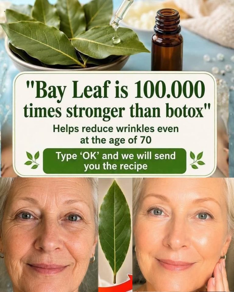 Bay Leaves for Wrinkles: A Natural Anti-Aging Remedy That Nourishes the Skin