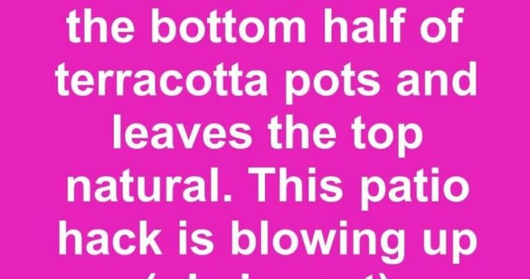 Gold-Dipped Terracotta Succulent Planters