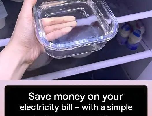 Maximize Your Savings on Your Electricity Bill With This Simple Refrigerator Trick! 🧊⚡ 👉 Discover the simple trick in the first comment 👇