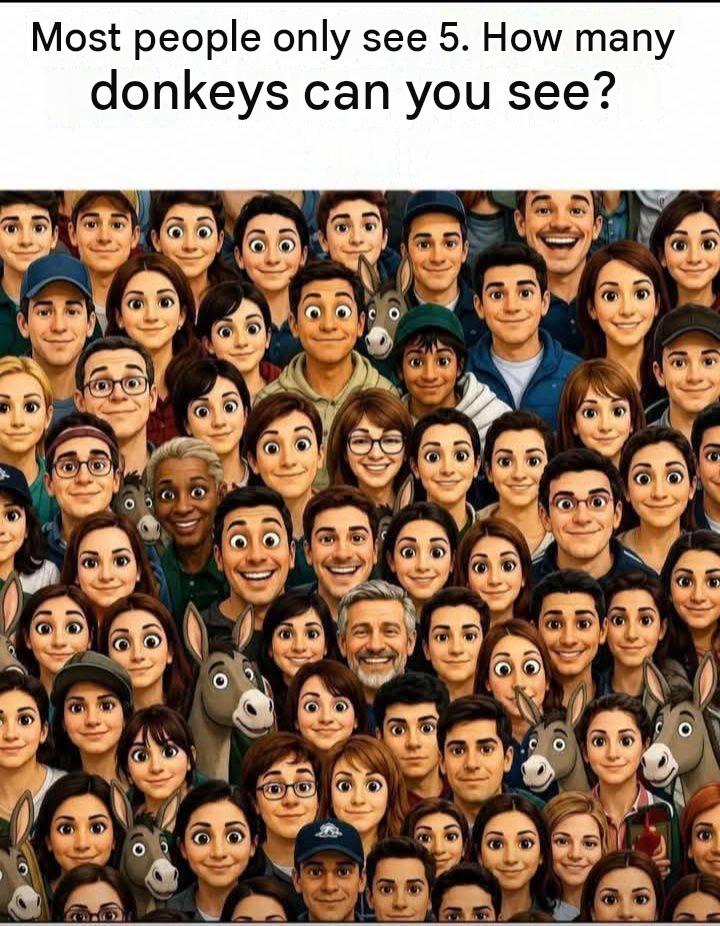 HOW MANY DONKEY CAN YOU SEE