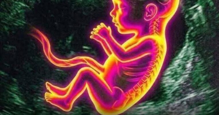 A study highlights a possible link with the development of autism…