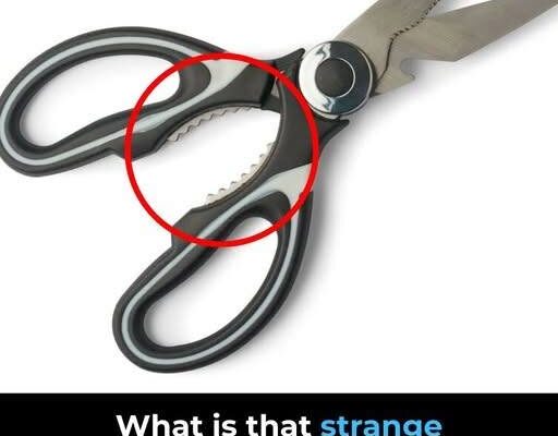 What’s That Strange Toothy Part on Kitchen Scissors For?