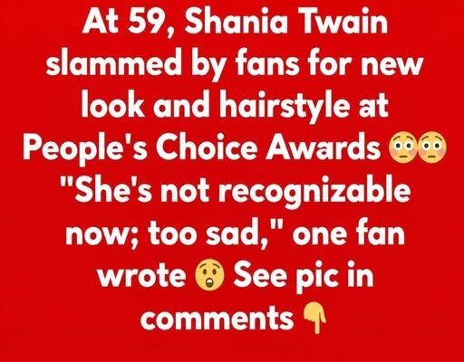 Shania Twain catches heat for blonde look at awards show