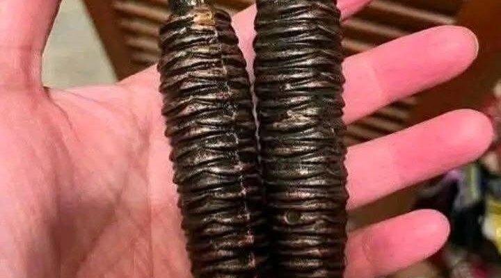 We Found These Strange Heavy Objects While Cleaning Out Grandma’s House