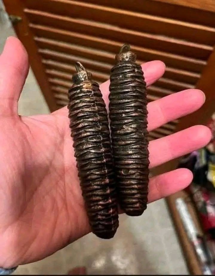 We Found These Strange Heavy Objects While Cleaning Out Grandma’s House
