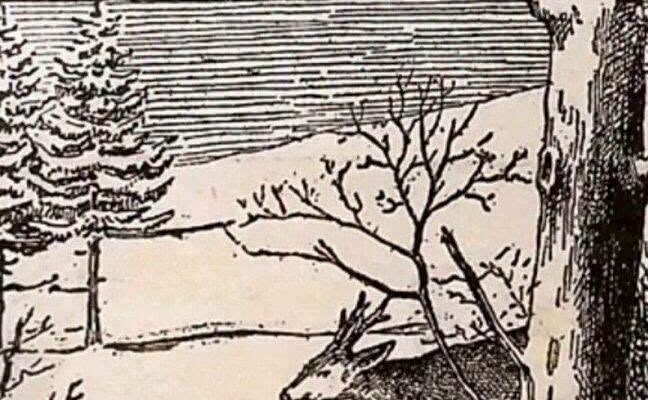 Can You Spot the Hidden Man in This Winter Scene?….👇