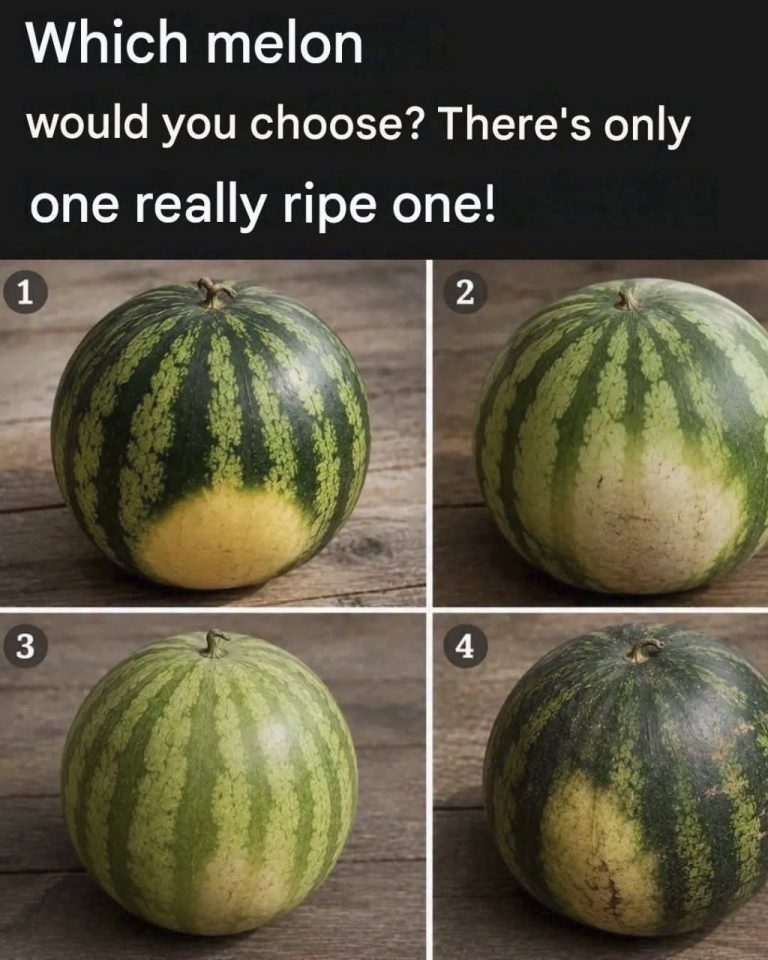 Which melon would you choose? There’s only one real…