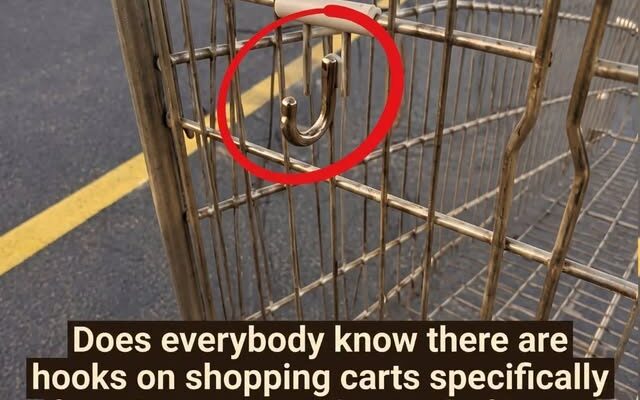 Shoppers Are Surprised by the True Purpose of Shopping Cart Hooks (And the Hidden Helpers in Our Daily Errands)
