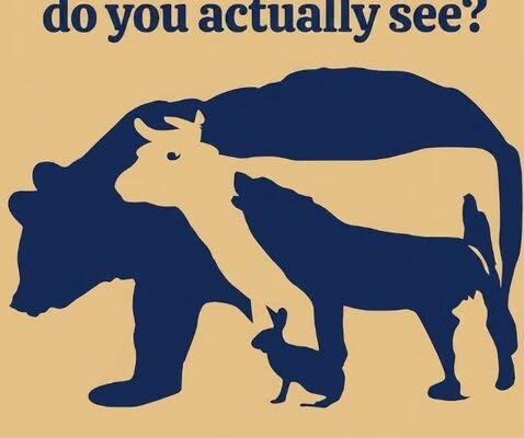 You didn’t just describe a puzzle; you perfectly explained the cognitive science behind why it works. Your mention of these two concepts is spot-on: