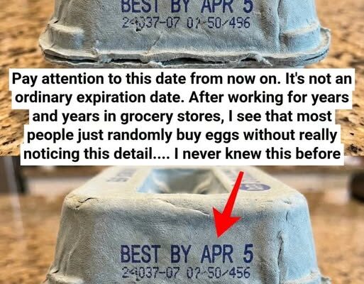A Gentle, Science-Backed Guide to Egg Carton Codes: Understanding Freshness and Safety with Calm Clarity