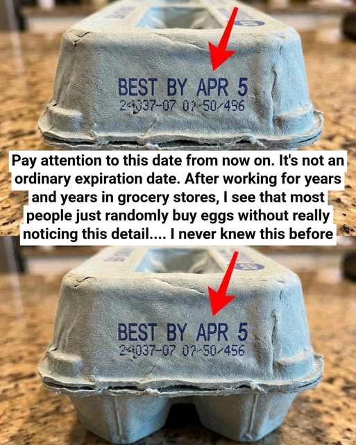 A Gentle, Science-Backed Guide to Egg Carton Codes: Understanding Freshness and Safety with Calm Clarity