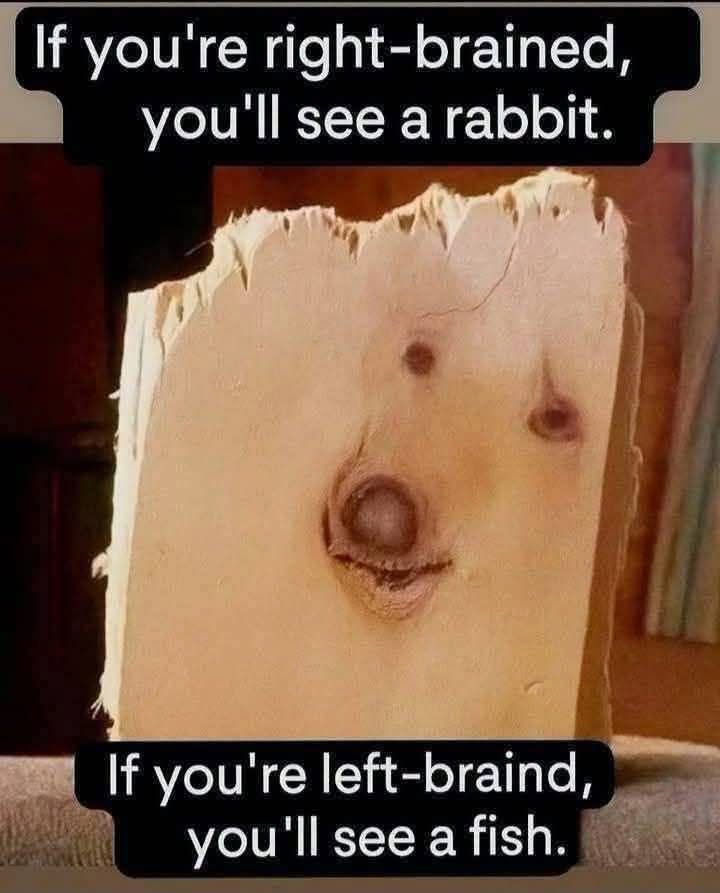 Right-Brain vs. Left-Brain Myth: The Wood Grain Dog Illusion Explained