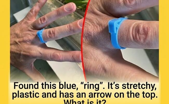 What Is This Blue Rubber Ring? The Mystery Object Identified