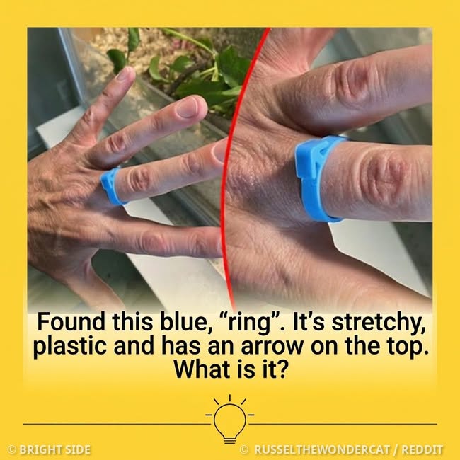 What Is This Blue Rubber Ring? The Mystery Object Identified