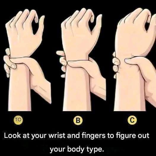 # Body Types: Are You an Ectomorph, Mesomorph, or Endomorph?
