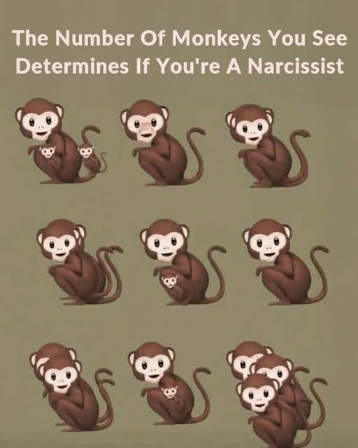 The Number Of Monkeys You See Determines If You’re A Narcissist