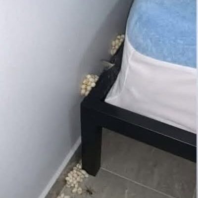 I Came Home Exhausted… and Found Something Terrifying Beside My Bed