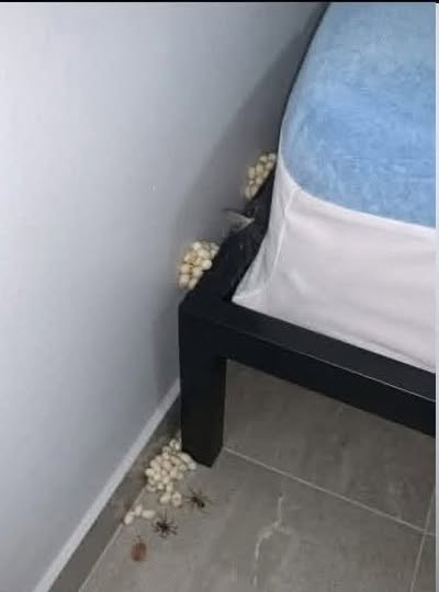 I Came Home Exhausted… and Found Something Terrifying Beside My Bed