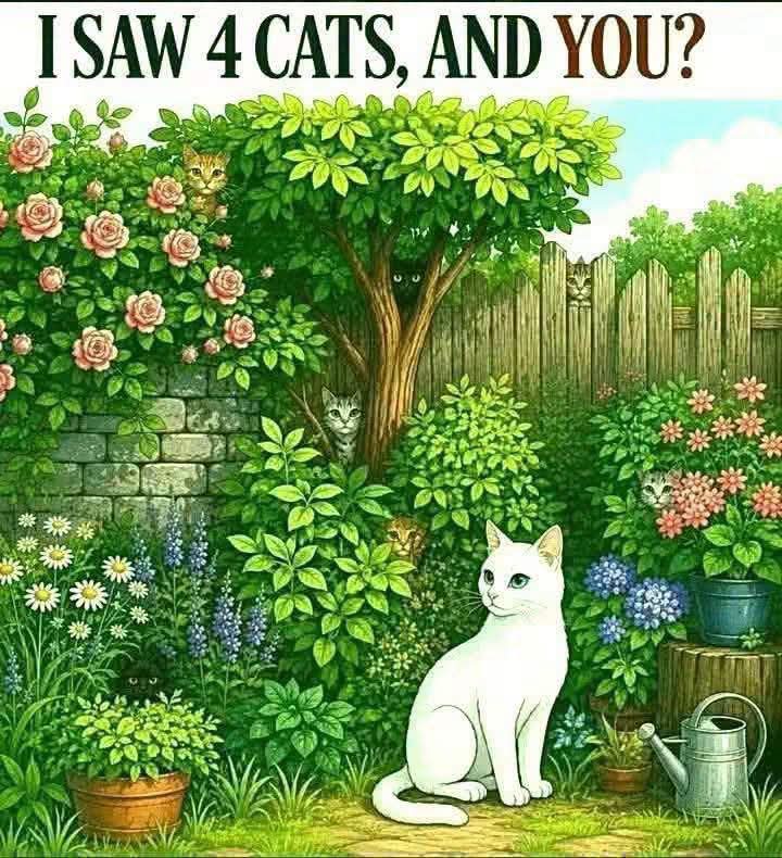 🐱🔎 ANSWER: THE 8 CATS ARE WELL HIDDEN!