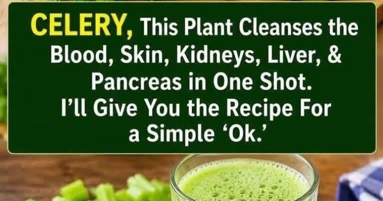 Fresh Celery Green Juice