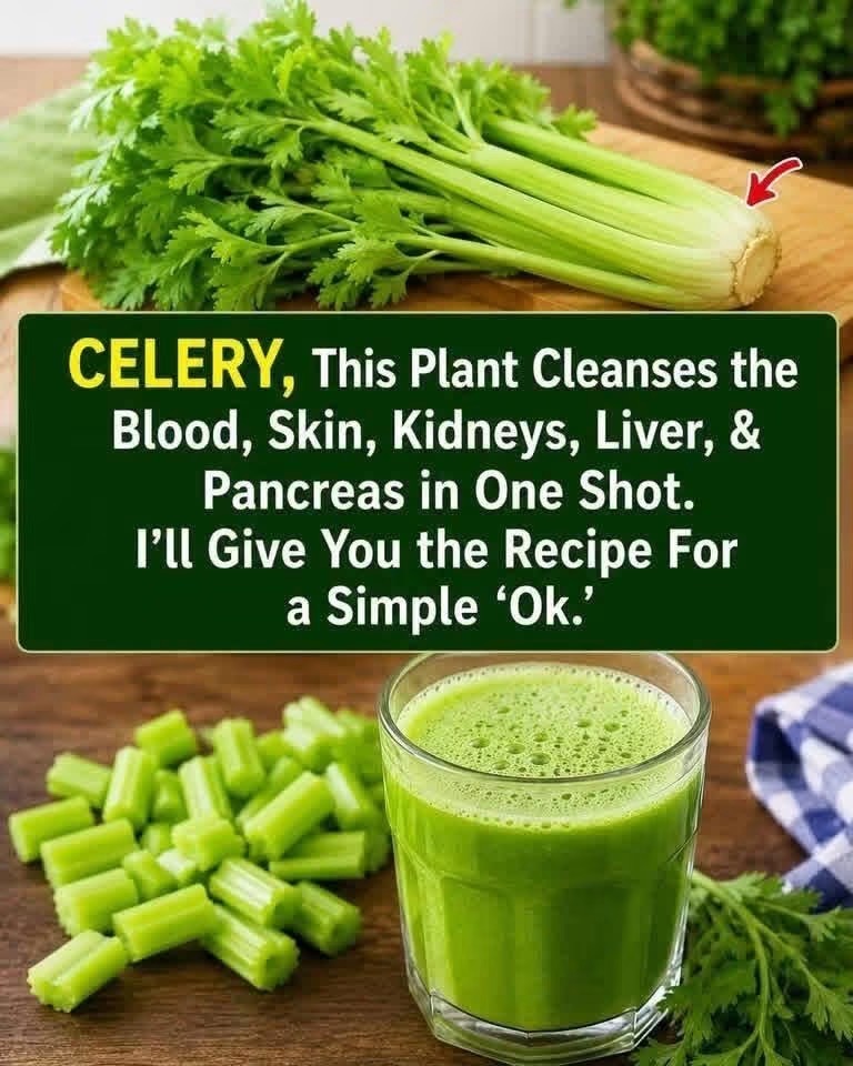 Fresh Celery Green Juice