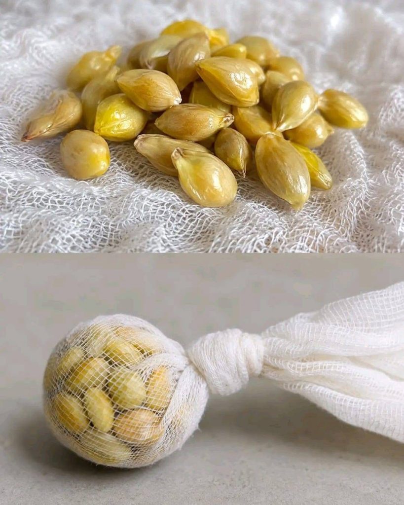 Don’t Throw Away Lemon Seeds
