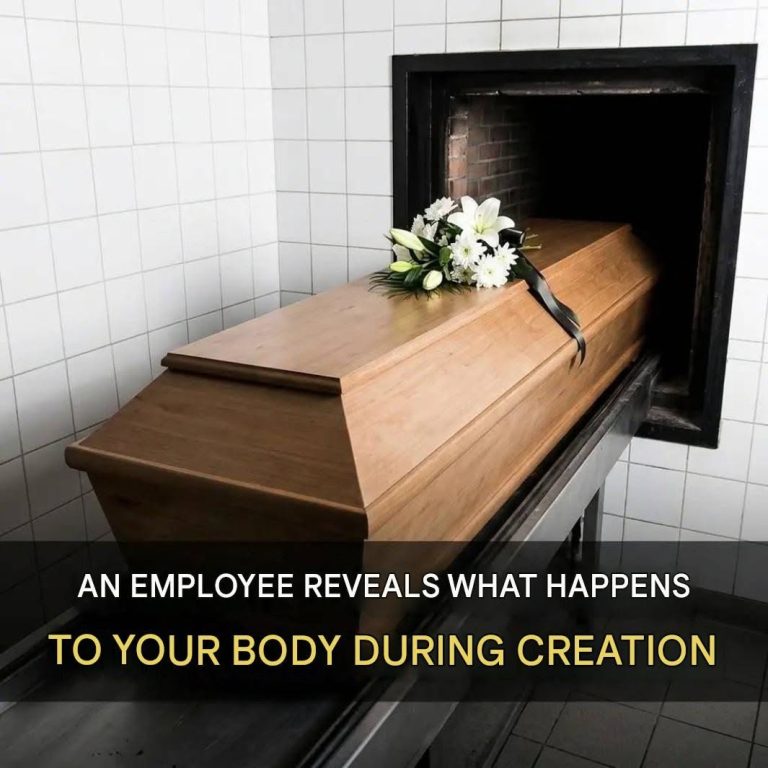 Crematorium: An employee reveals the secrets of what really happens to our bodies