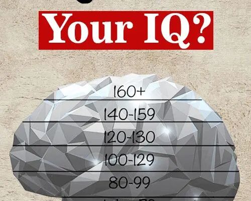 Can We Guess Your IQ? Understanding IQ Scores, Brain Levels, and Intelligence Testing