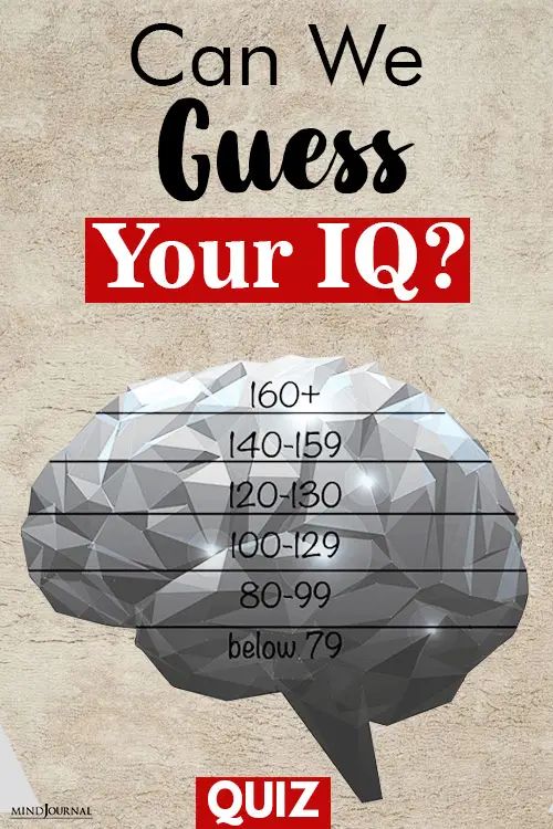 Can We Guess Your IQ? Understanding IQ Scores, Brain Levels, and Intelligence Testing