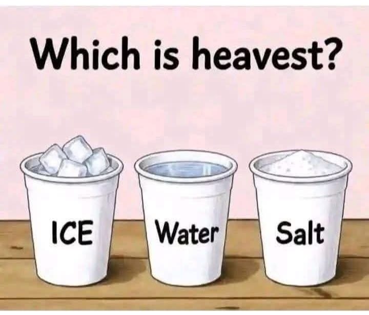 Which Is Heaviest? Ice vs. Water vs. Salt Science Puzzle Explained